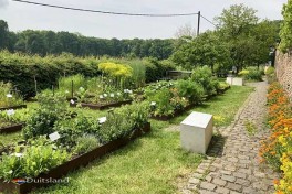 Historische moestuin in Duitsland metgroenten en kruiden uit vele tijdperken