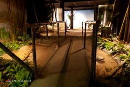 Afrika Museum in Duitsland