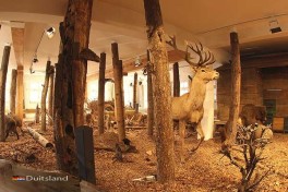 Museum Auberlehaus Trossingen