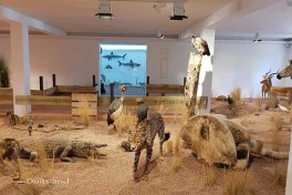 Museum landschapszones in Duitsland