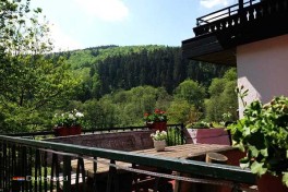 Activiteiten Hotel Sauerland
