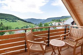 Chalet Zwarte Woud
