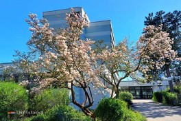 Doorreis Hotel Duitsland