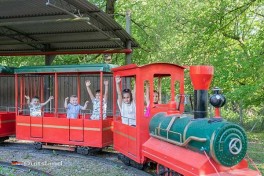 Treintje voor kinderen in Wildpark Schwarzach – familie-uitje in Duitsland