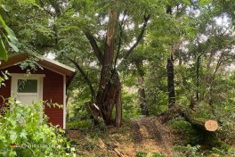 Blokhut huren in Duitsland