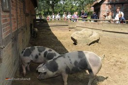 Museumdorf Cloppenburg Duitsland