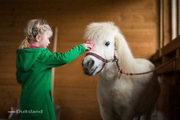 Vakantiepark in Sauerland met Ponyrijden