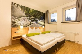 Vakantiewoningen in de Harz